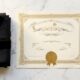 Honorary doctorate degree award ceremony university academic recognition guide